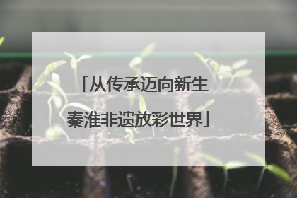 从传承迈向新生 秦淮非遗放彩世界