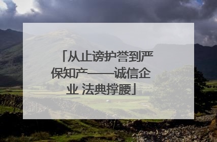从止谤护誉到严保知产——诚信企业 法典撑腰
