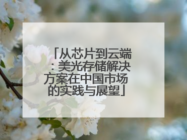 从芯片到云端：美光存储解决方案在中国市场的实践与展望