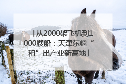 从2000架飞机到1000艘船：天津东疆“租”出产业新高地