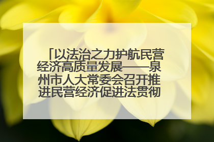 以法治之力护航民营经济高质量发展——泉州市人大常委会召开推进民营经济促进法贯彻实施座谈会