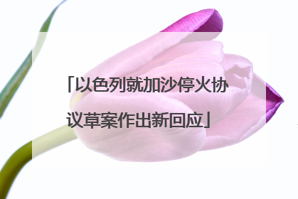 以色列就加沙停火协议草案作出新回应