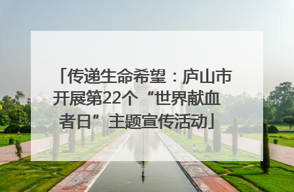 传递生命希望：庐山市开展第22个“世界献血者日”主题宣传活动