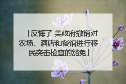 反悔了 美政府撤销对农场、酒店和餐馆进行移民突击检查的豁免