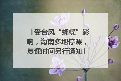 受台风“蝴蝶”影响，海南多地停课，复课时间另行通知