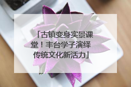 古镇变身实景课堂！丰台学子演绎传统文化新活力