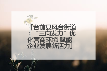 台前县凤台街道：“三向发力”优化营商环境 赋能企业发展新活力