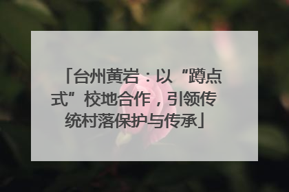 台州黄岩：以“蹲点式”校地合作，引领传统村落保护与传承