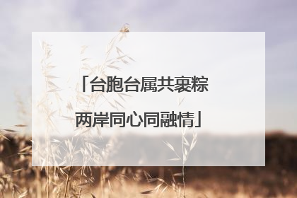 台胞台属共裹粽 两岸同心同融情