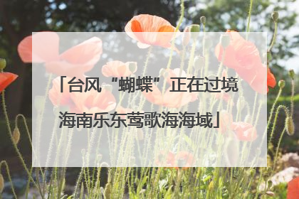 台风“蝴蝶”正在过境海南乐东莺歌海海域