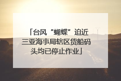 台风“蝴蝶”迫近 三亚海事局辖区货船码头均已停止作业