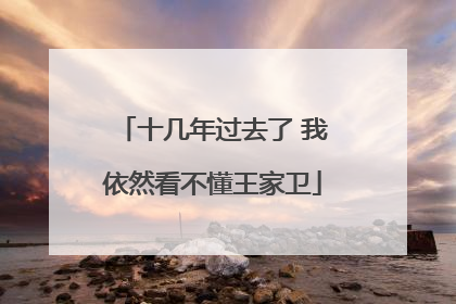 十几年过去了 我依然看不懂王家卫
