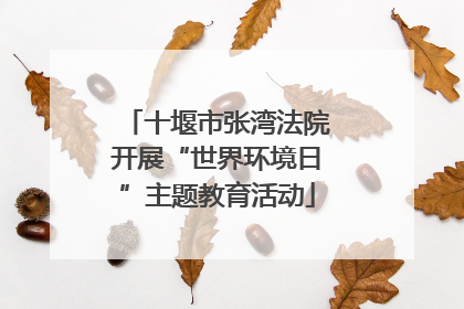 十堰市张湾法院开展“世界环境日”主题教育活动
