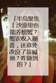 半岛聚焦丨沙漠里也能养螃蟹？蟹农收入翻番，还意外改良了盐碱地？咋做到的？