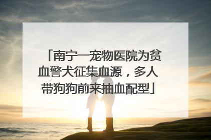 南宁一宠物医院为贫血警犬征集血源，多人带狗狗前来抽血配型