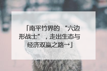 南平竹界的 “六边形战士”，走出生态与经济双赢之路→