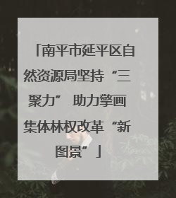 南平市延平区自然资源局坚持“三聚力” 助力擎画集体林权改革“新图景”