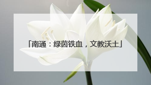 南通：绿茵铁血，文教沃土