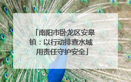 南阳市卧龙区安皋镇：以行动排查水域 用责任守护安全