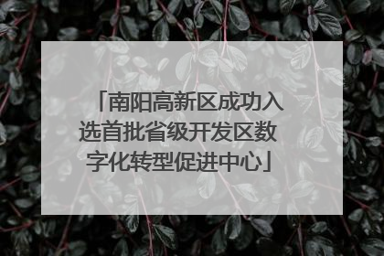 南阳高新区成功入选首批省级开发区数字化转型促进中心
