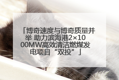 博奇速度与博奇质量并举 助力滨海港2×1000MW高效清洁燃煤发电项目“双投”