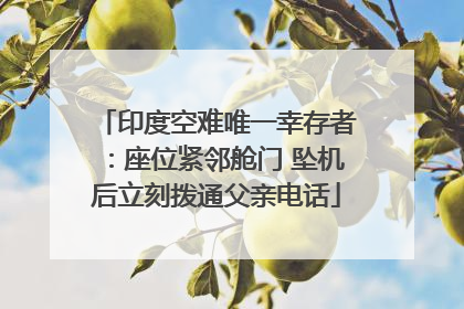 印度空难唯一幸存者：座位紧邻舱门 坠机后立刻拨通父亲电话