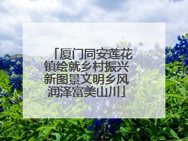 厦门同安莲花镇绘就乡村振兴新图景文明乡风润泽富美山川