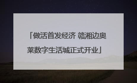 做活首发经济 赣湘边奥莱数字生活城正式开业