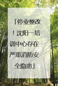 停业整改！沈阳一培训中心存在严重消防安全隐患