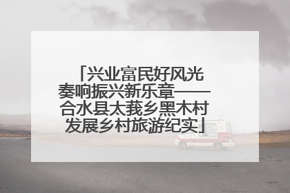 兴业富民好风光 奏响振兴新乐章——合水县太莪乡黑木村发展乡村旅游纪实
