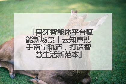 兽牙智能体平台赋能新场景丨云知声携手南宁轨道，打造智慧生活新范本