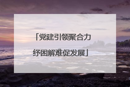 党建引领聚合力 纾困解难促发展