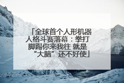 全球首个人形机器人格斗赛落幕：拳打脚踢你来我往 就是“大脑”还不好使
