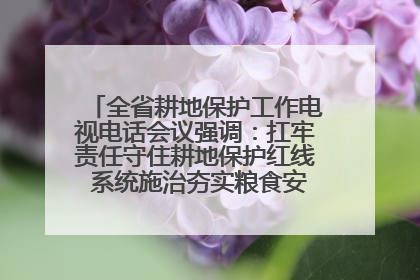 全省耕地保护工作电视电话会议强调：扛牢责任守住耕地保护红线 系统施治夯实粮食安全根基 王宁作出批示 王予波出席并讲话
