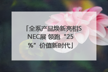 全系产品焕新亮相SNEC展 领跑“25%”价值新时代