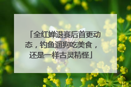 全红婵退赛后首更动态，钓鱼遛狗吃美食，还是一样古灵精怪
