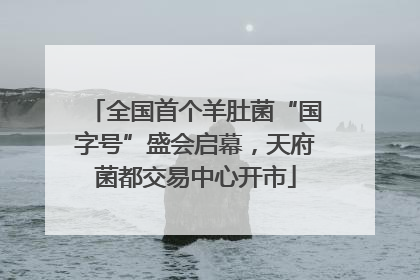 全国首个羊肚菌“国字号”盛会启幕，天府菌都交易中心开市