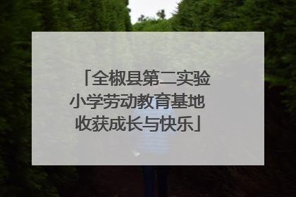 全椒县第二实验小学劳动教育基地收获成长与快乐