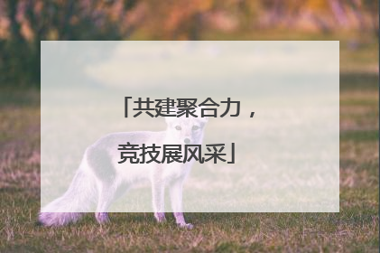 共建聚合力，竞技展风采