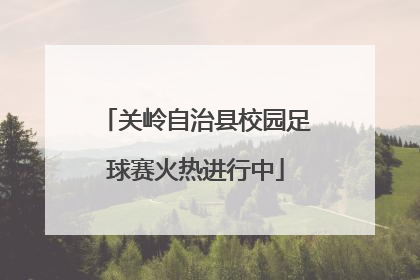关岭自治县校园足球赛火热进行中