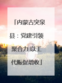 内蒙古突泉县：党建引领聚合力 以工代赈促增收