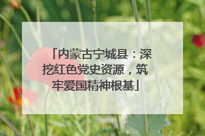 内蒙古宁城县：深挖红色党史资源，筑牢爱国精神根基