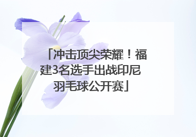 冲击顶尖荣耀！福建3名选手出战印尼羽毛球公开赛