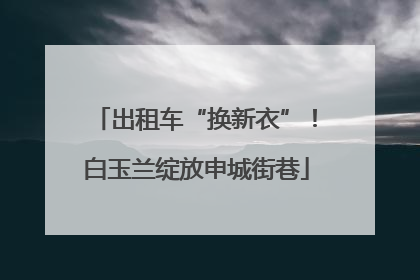 出租车“换新衣”！白玉兰绽放申城街巷