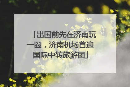 出国前先在济南玩一圈，济南机场首迎国际中转旅游团