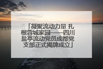 凝聚流动力量 扎根蓉城家园——四川盐亭流动党员成都党支部正式揭牌成立