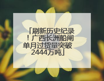 刷新历史纪录！广西长洲船闸单月过货量突破2444万吨