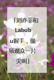 刘亦菲和Labubu握手，现场观众一片尖叫