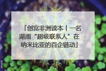 创富非洲读本丨一名湖南“超级联系人”在纳米比亚的百企链动