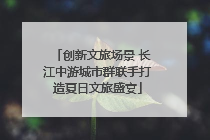 创新文旅场景 长江中游城市群联手打造夏日文旅盛宴